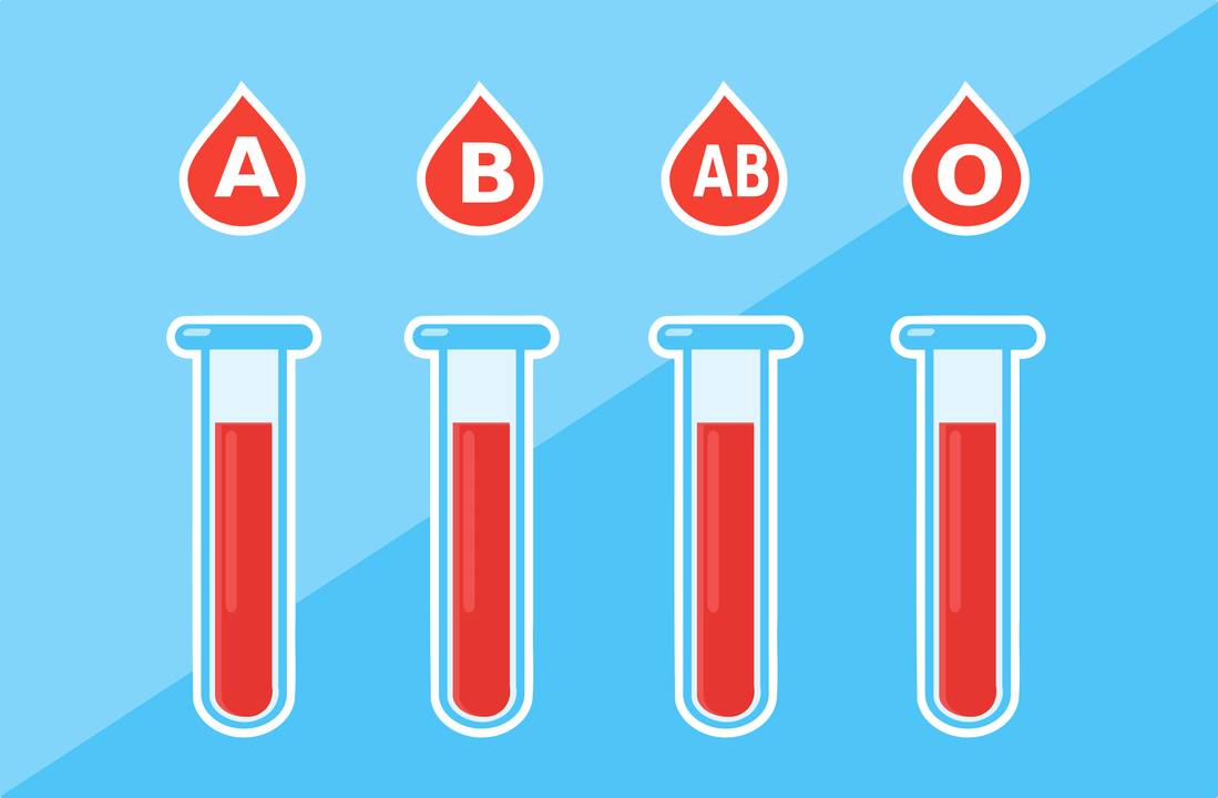 Il existe 4 groupes sanguins A, B, AB, O. 